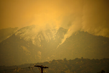 Obraz na płótnie Canvas Fire and smoke in the mountains of California.