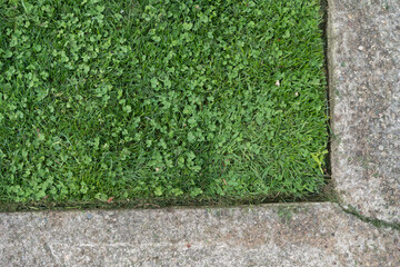 top view of freshly cut grass at a corner concrete pavement under a cloudy sky