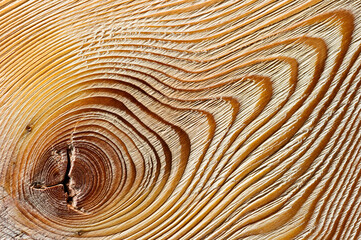 Rough brushed wood texture, fiber of larch, internal tree structure, molded board surface, macro shot