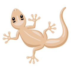Illustration of cute cartoon house lizard.