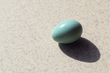 Fototapeta na wymiar Blue egg of a bird on a light gray background in the sun and the shadow of objects, close-up