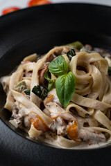 Beef pasta with alfredo sauce, vegetables and fresh basil, close up, appetizing shot