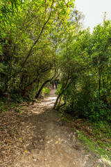 Taupo, New Zealand - March 31, 2018: Tourists leaving Aratiatia Dam in Taupo, New Zealand
