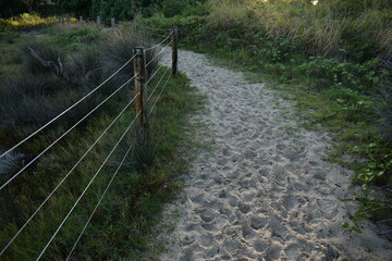 well-trodden white sandy path from the beach with a fence