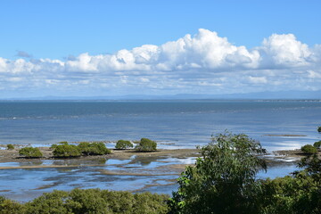low tide reflections of white clouds in water around mangroves and view of bay