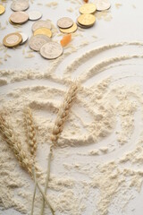 Flour, wheat, rice, raisins and coins on a white background