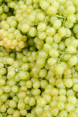 Fresh bunches of muscatel grapes. Green grapes.