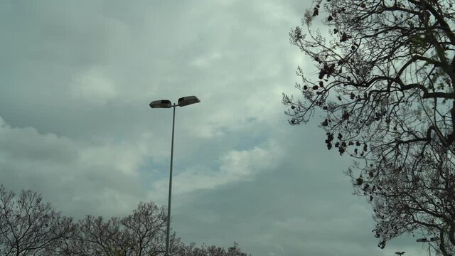 Toma en 4k del cielo con nubes con arboles y una farola