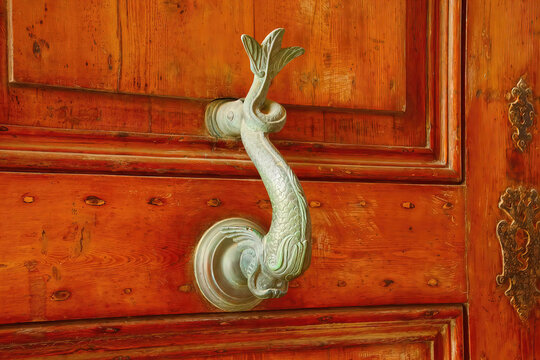 Dolphin door handles
