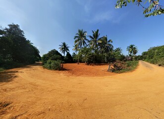 An ultrawide angle shot of red soil and views of nature such as coconut trees and bright clear sky at the village in the evening. A beautiful views to see.