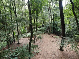 created by dji camera