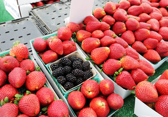 fresh summer berries
