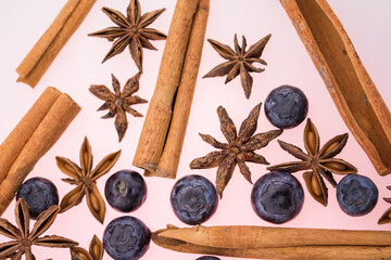 Dried anise , cinnamon sticks and blueberries  