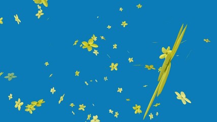 Yellow petals of the golden rain tree flowers (Cassia fistula) are falling to the ground. Yellow flower petal 3D animation background. Blue chroma key petal animation video. 