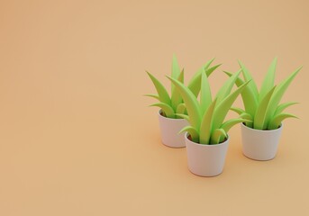 Plant in white pot, 3d rendering, isolated background