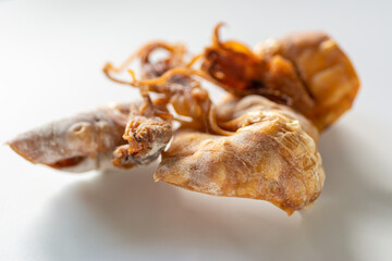 Grilled dried squid on white background.