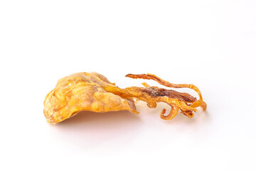 Grilled dried squid on white background.