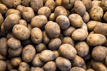 Fresh organic brown unpeeled potatoes on a fresh market, background. Potato texture. Lots of organic vegetables