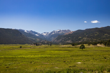 Fototapeta na wymiar Meadow in Rocky Mountain National Park mountain range, Colorado, USA 
