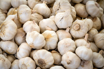 Young garlic   in box,  background. Fresh  garlic variety grown in the shop. Tasty and healthy food