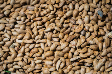 Dry kernels of apricots. Pile of shelled almonds.  Raw fresh almonds with shell on display at supermarket.