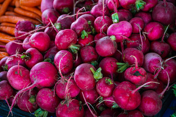 Fresh organic green radish on fresh market,  background. radish texture . A lot of organic radish  root