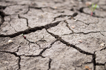 Deep cracks in the ground. The dry ground cracked.