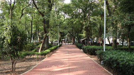 cdmx