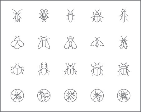 Set of insect and bug line style. It contains such Icons as mosquito, mantis, moth, ant, bug stick, ladybug, mite, natural and other elements. customize color, easy resize.