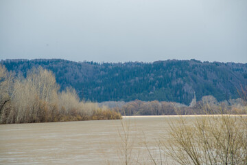 Stunning wildlife in early spring on the riverbank.