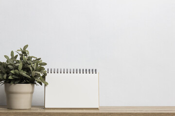 A white notebook and cactus in a pot on the wall