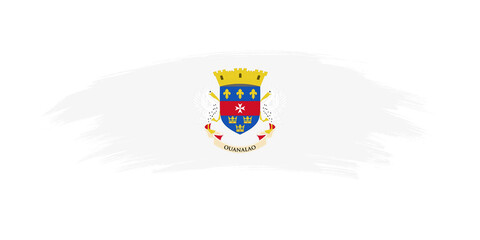 Artistic grunge brush flag of Saint Barthelemy isolated on white background
