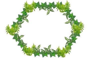 Green leaves frame on white background 
