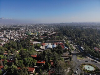 Morelia