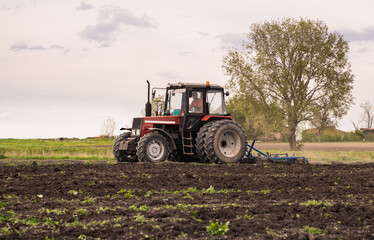 Obraz premium Tractor is preparing the land at dusk