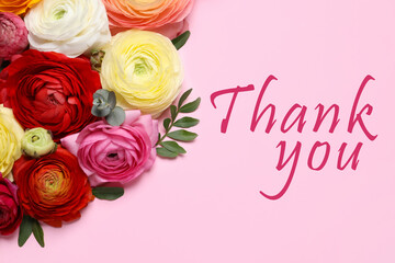 Beautiful ranunculus flowers and text Thank you on pink background, flat lay. Greeting card design