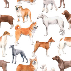 Naklejka premium Beautiful seamless pattern with cute watercolor hand drawn dog breeds Cocker spaniel Greyhound Hound Basenji and Russian Greyhound Whippet . Stock illustration.