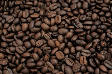 Coffee beans background. Roasted coffee close-up.Texture of coffee beans. space for text.Arabica and Robusta coffee .Traditional morning drink