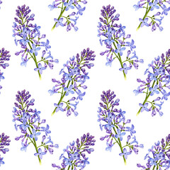 watercolor seamless pattern with drawing branches of lilac