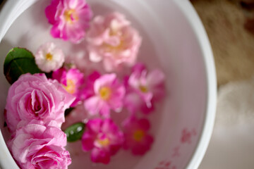 Obraz na płótnie Canvas ピンクのバラの花を浮かべて