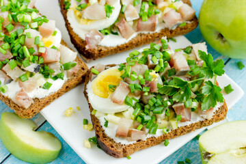 Herring green apple egg onion sandwiches, forshmak on toasts