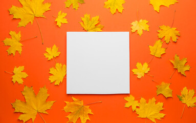 Naklejka na ściany i meble Blank card and autumn leaves on color background