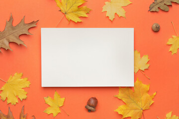 Naklejka na ściany i meble Blank card and autumn leaves on color background