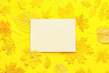 Blank card and autumn leaves on color background