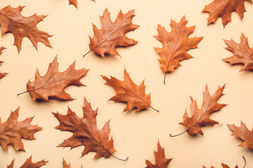 Dry oak leaves on light background