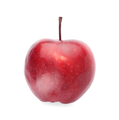 Fresh red apple on white background