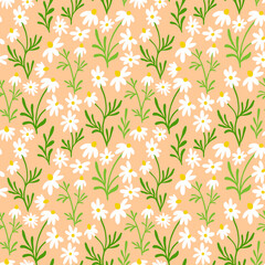 Chamomile and daisy seamless pattern. Wildflower print design with hand drawn flowers on light beige background. Simple field floral pattern for packaging, fabric design. Blossom herbs ornament.