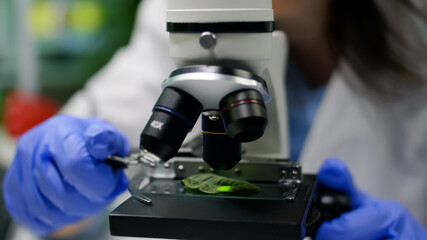 Closeup of biologist hands putting leaf sample under microscope analyzing genetic mutation on plant. Chemist specialist examining gmo test while working in pharmaceutical lab at ecology expertise