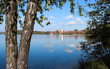 lake and trees