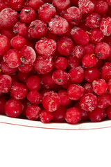 red currants isolated on white background